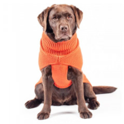 The Jamie Dog Jumper in Burnt Orange  SD1